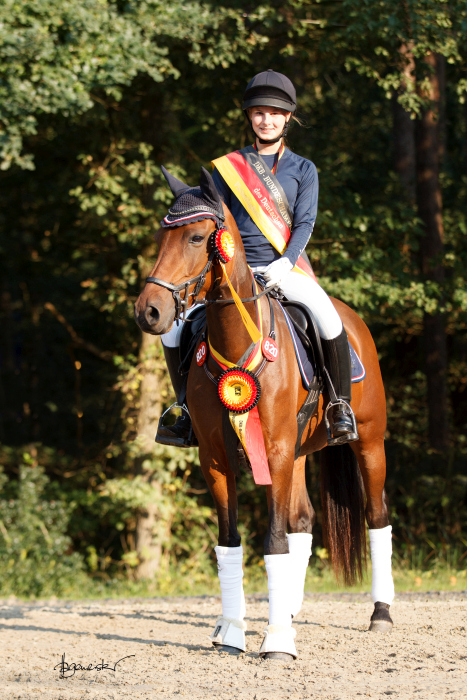 Springdelight Bundeschampion