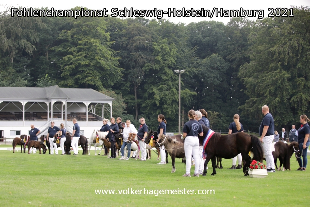 2021 08 07 Fohlenchampionat 5B7A0052a