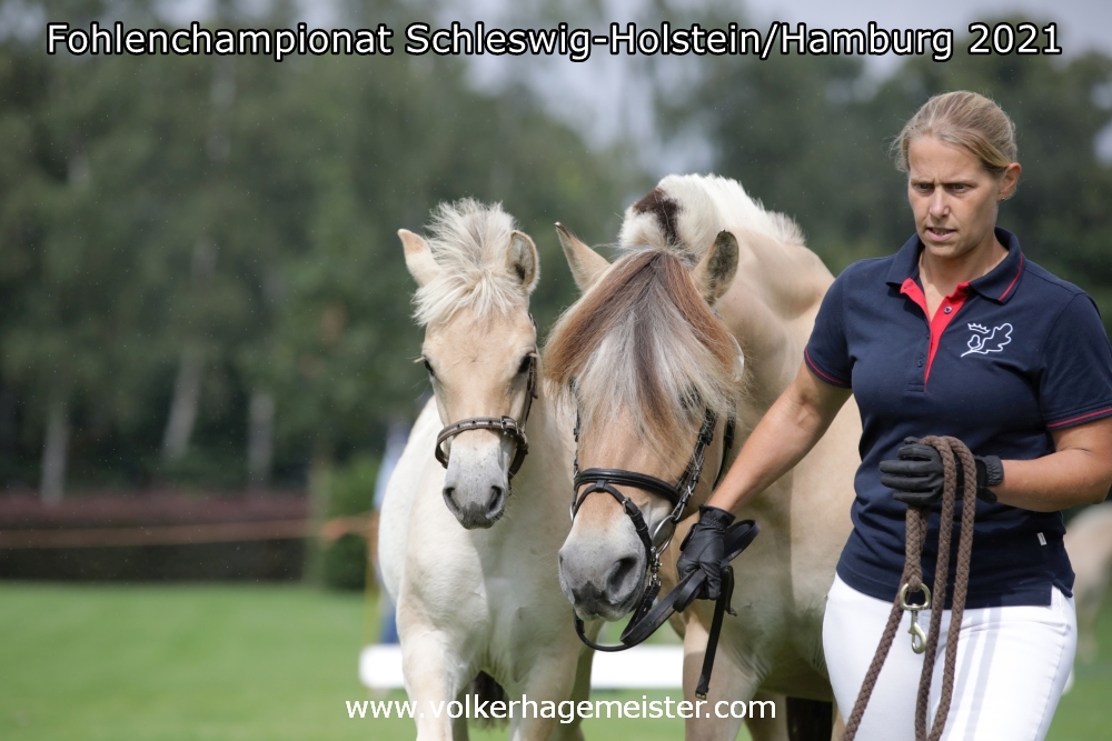 2021 08 07 Fohlenchampionat 5B7A0106