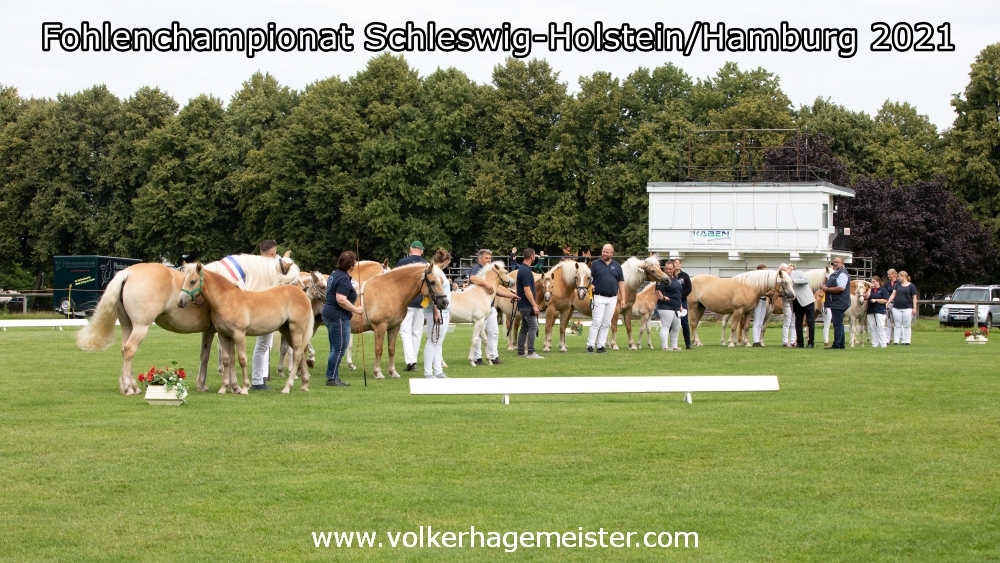 2021 08 07 Fohlenchmpionat 5B7A0244