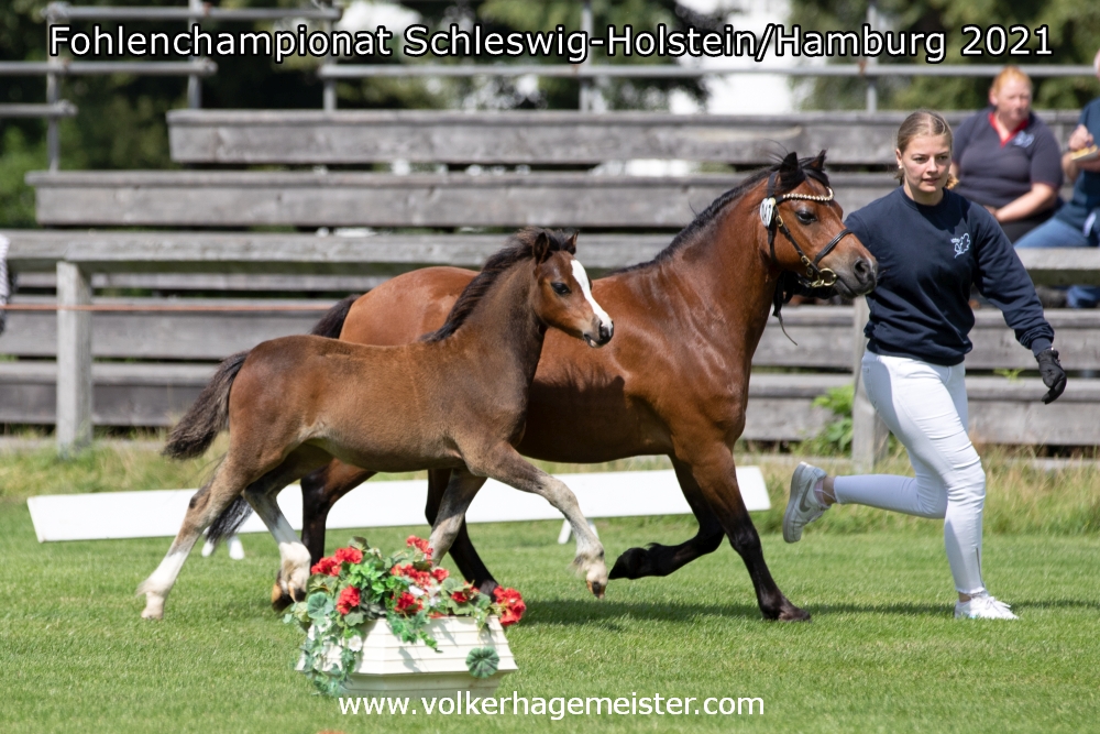 2021 08 07 Ponyland Coco 5B7A0420