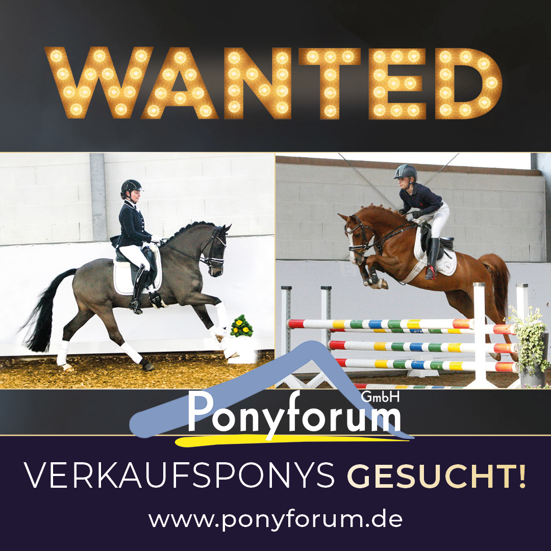 Ponys gesucht Instafeed 1 1080x1080