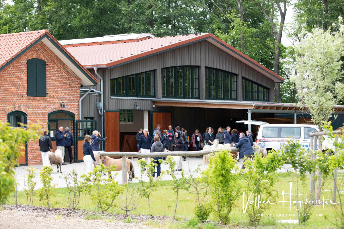 2022 06 07 03 Immenhof 5B7A8170