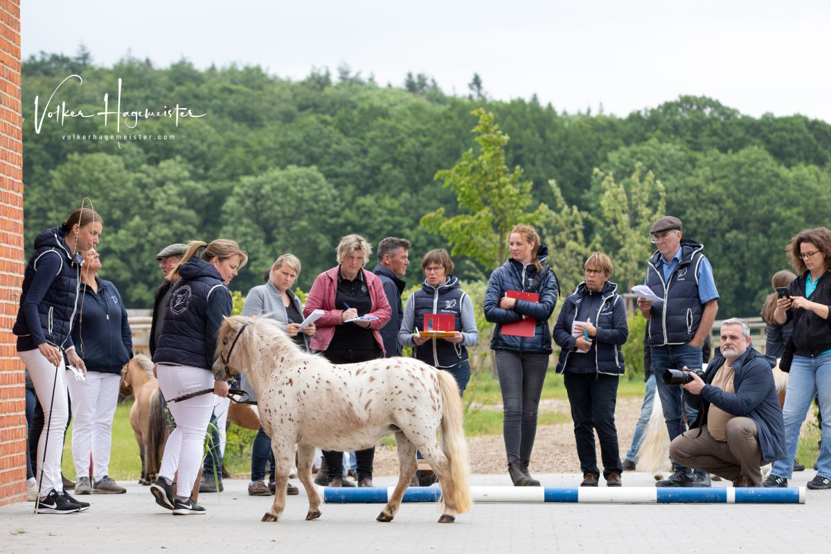 2022 06 07 03 Immenhof 5B7A8223