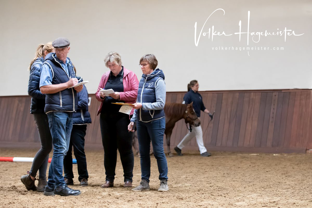 2022 06 07 03 Immenhof 5B7A8520