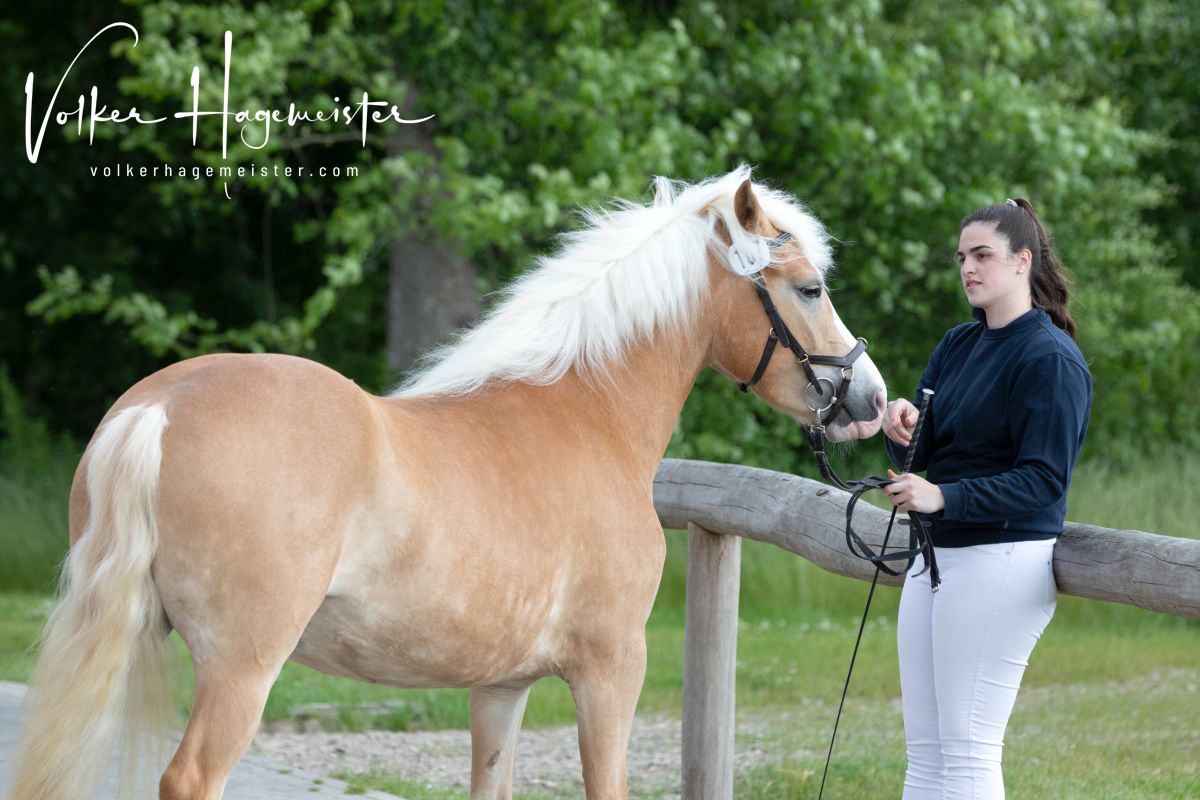 2022 06 07 03 Immenhof 5B7A8531