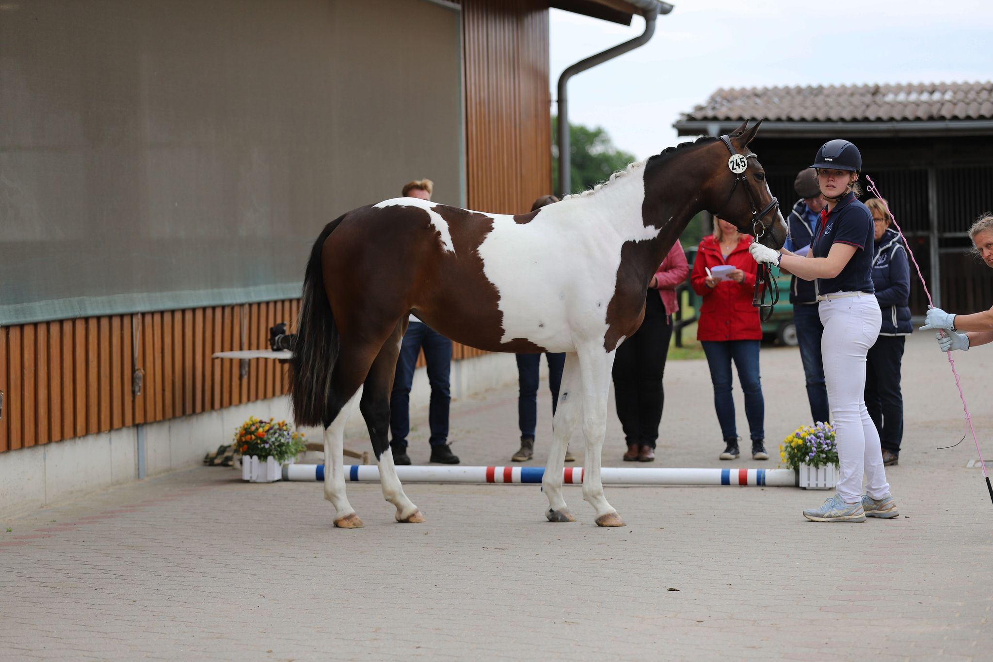 2022 06 07 Heidi 2599341915001975600 n