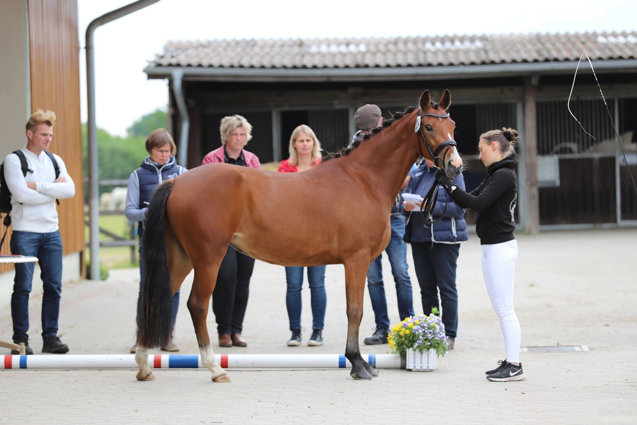 2022 06 07 Heidi 609103299950210519 n