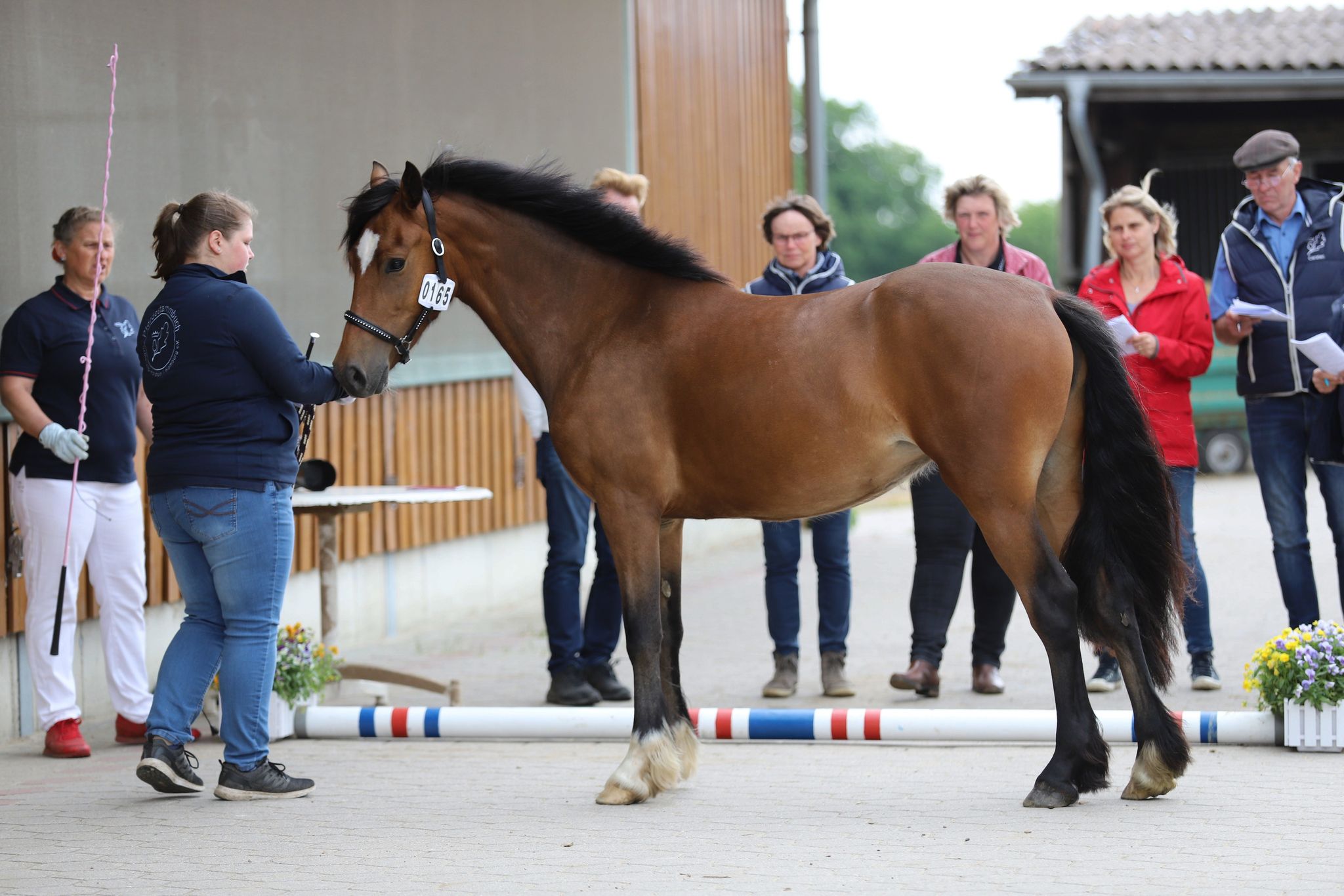 2022 06 07 Heidi 6156835892383947738 n