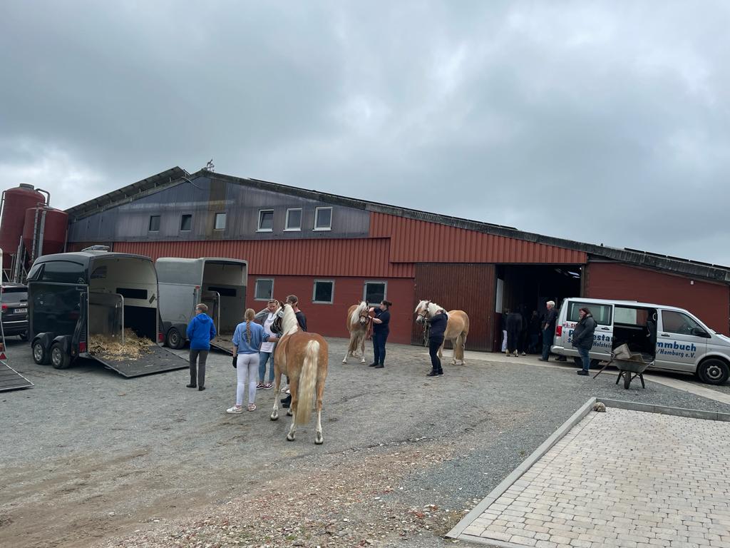 2022 06 09 05 c3a68febb5f8