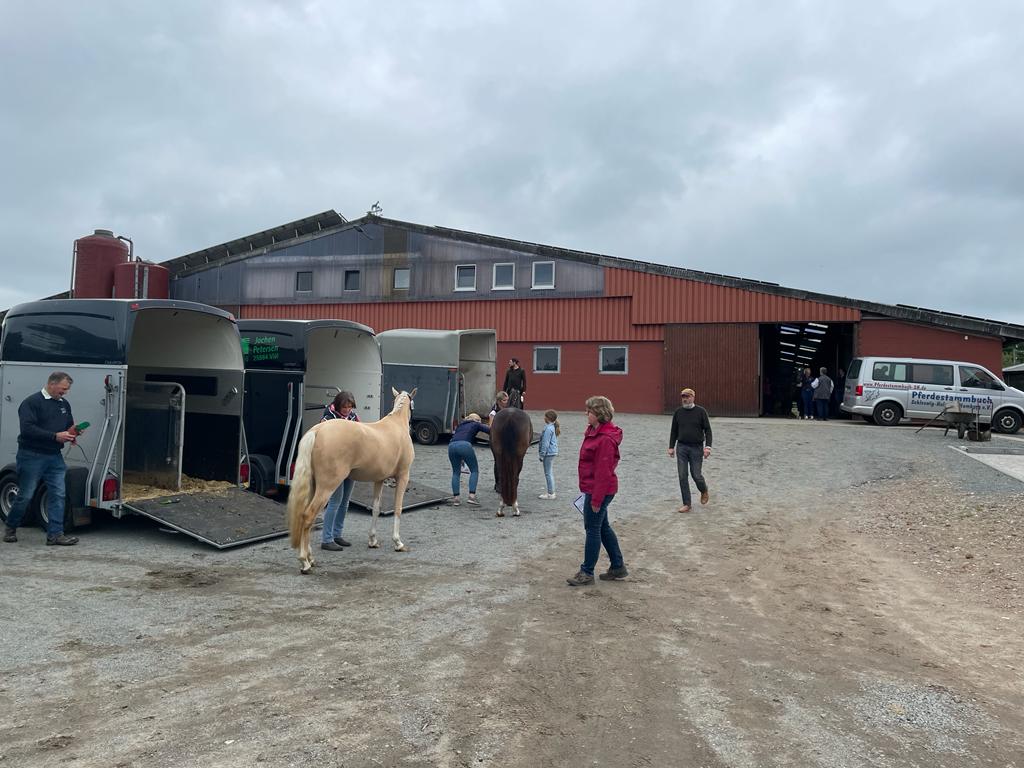 2022 06 09 06 8b52bded59fd