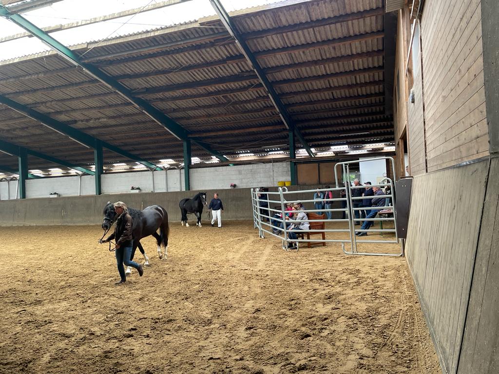 2022 06 09 09 4a68c549ebd9