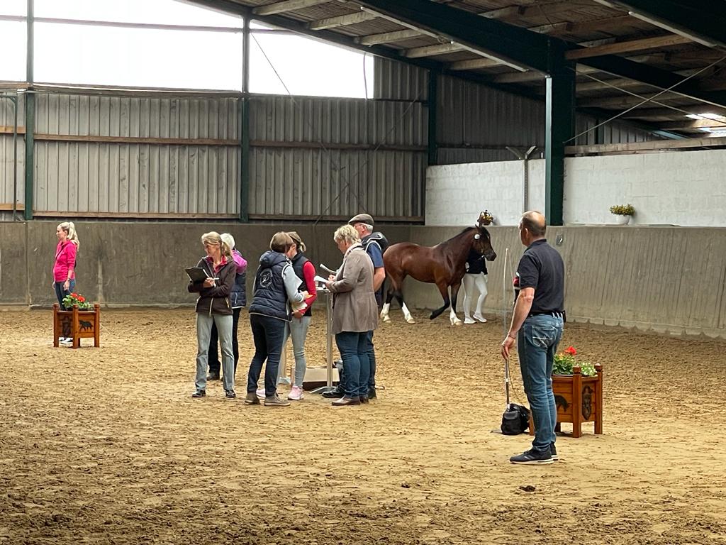 2022 06 09 10 e42fe0c0d4ad