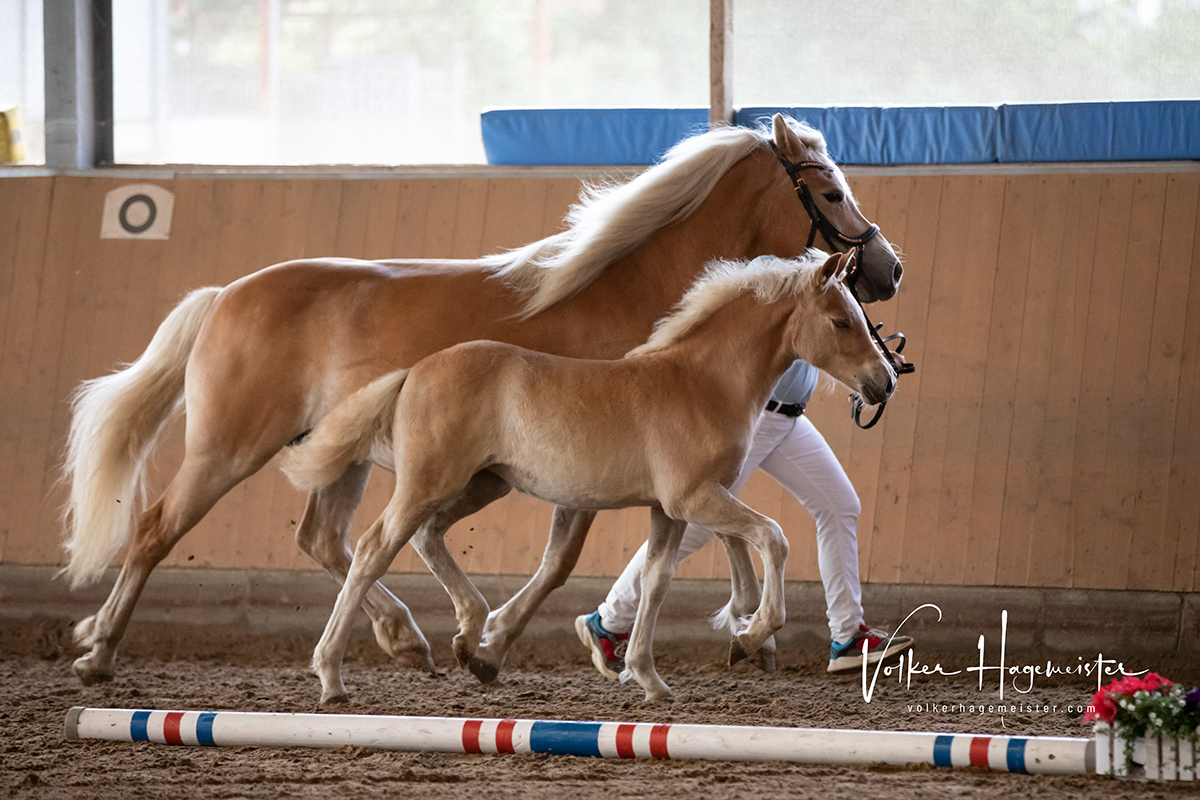 2022 07 13 Hohenfelde 5B7A2174web