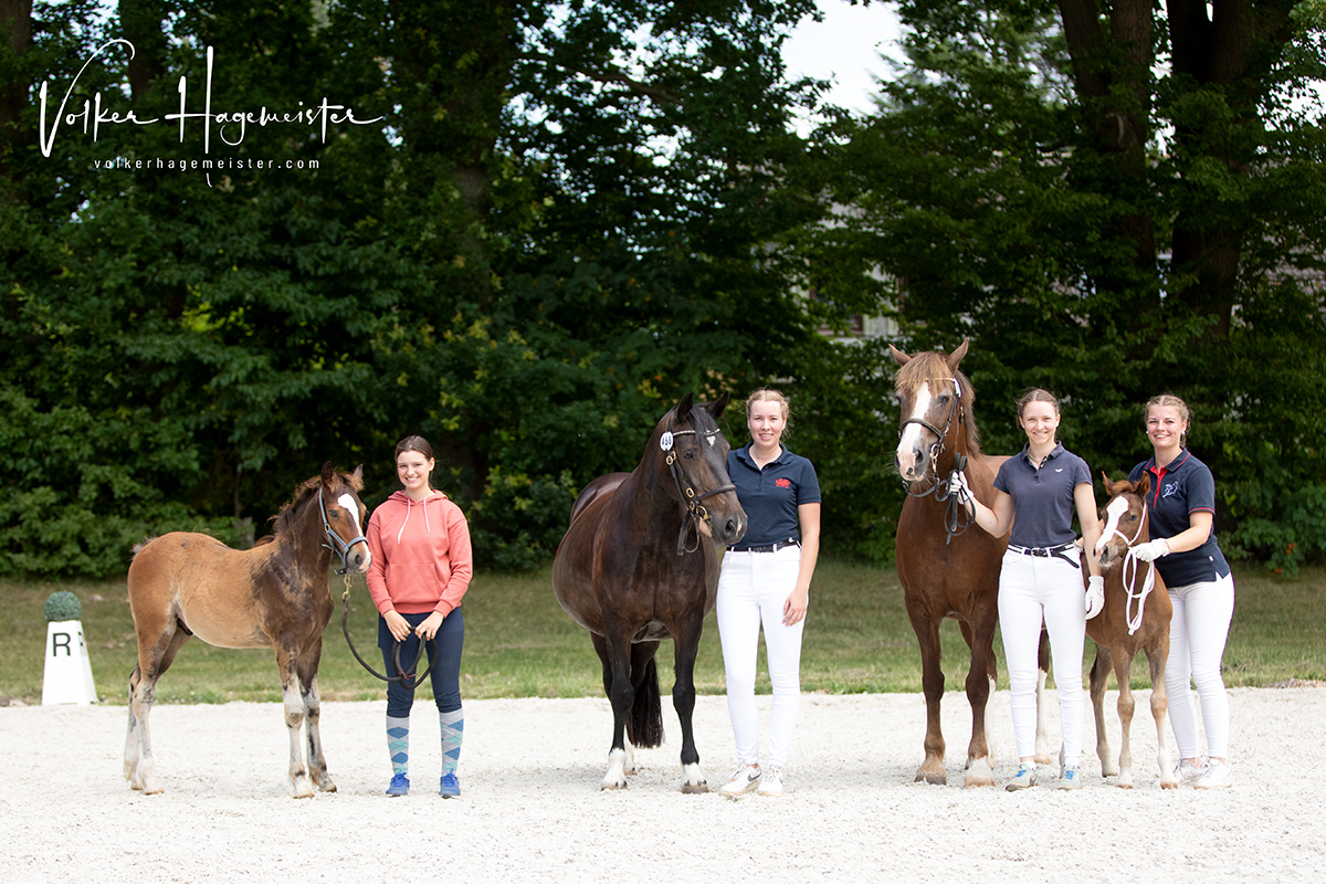 2022 07 13 Hohenfelde 5B7A2259web