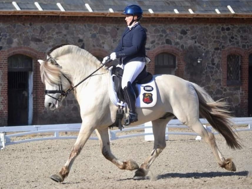 2022 Vilhelmsborg 03