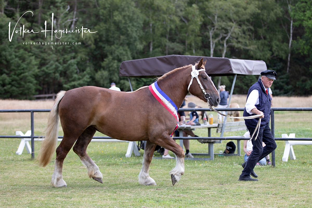 Web Nachtigall 5B7A1065