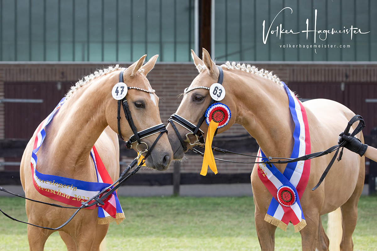 Web Steendieks 5B7A1866