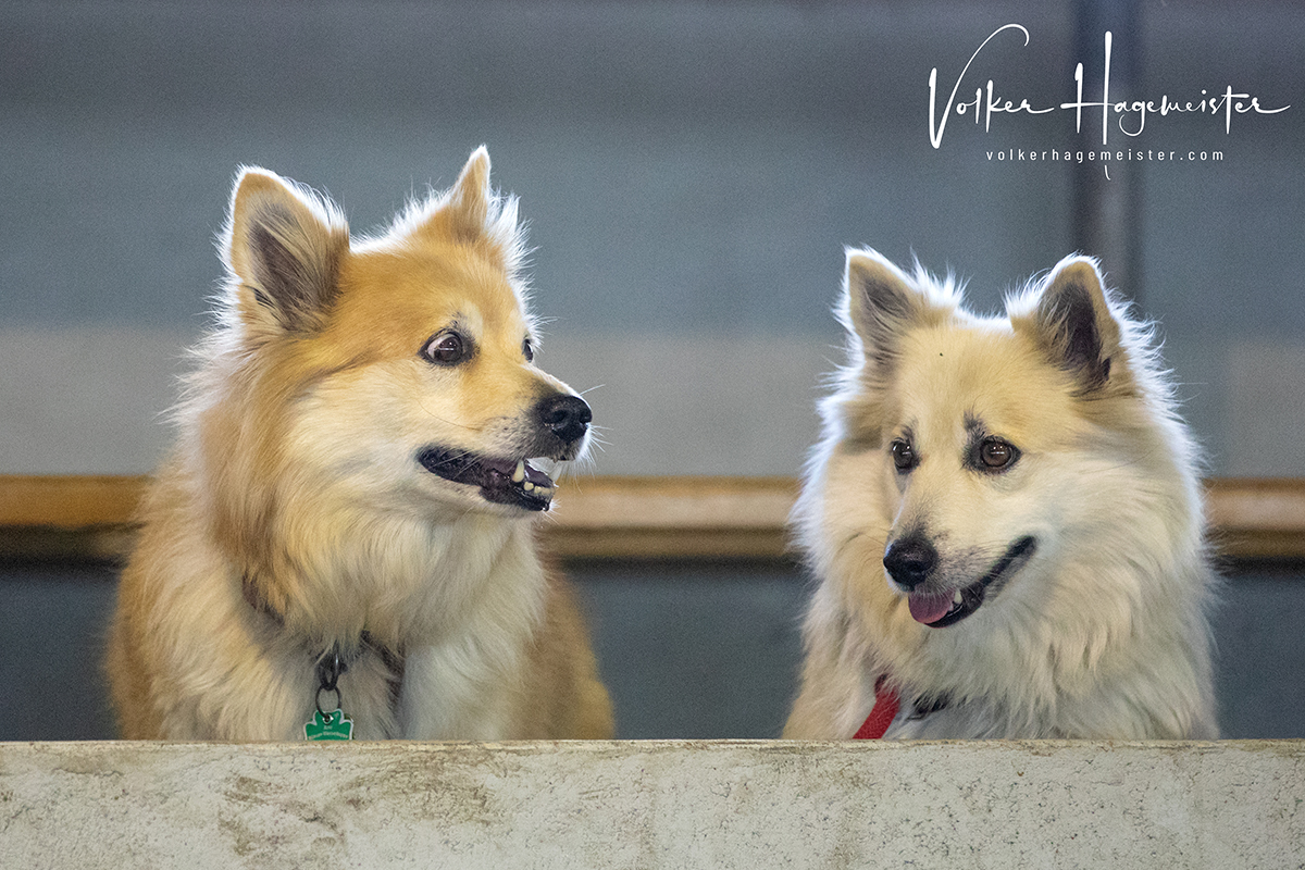 Webimpressionen 5B7A1418