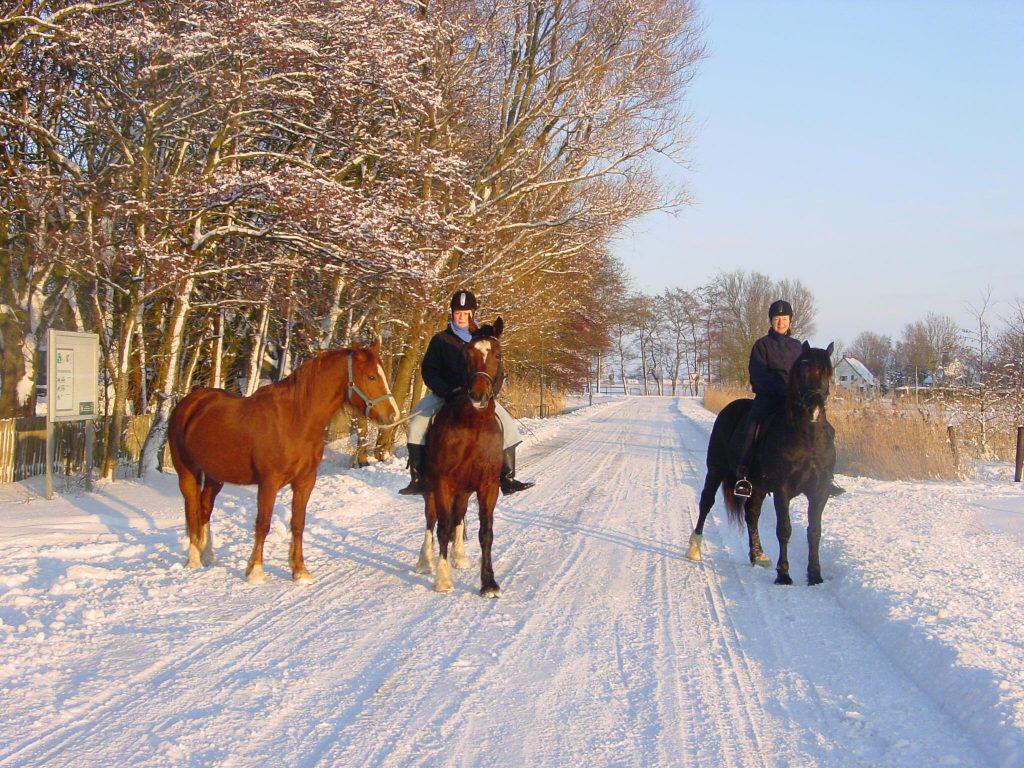 00 04 Ausritt im Schnee Gudrun Wieczorek auf Palatinate Rodrigo Pia auf Seaside Sweet Princess als Handpferd Seaside Starlet