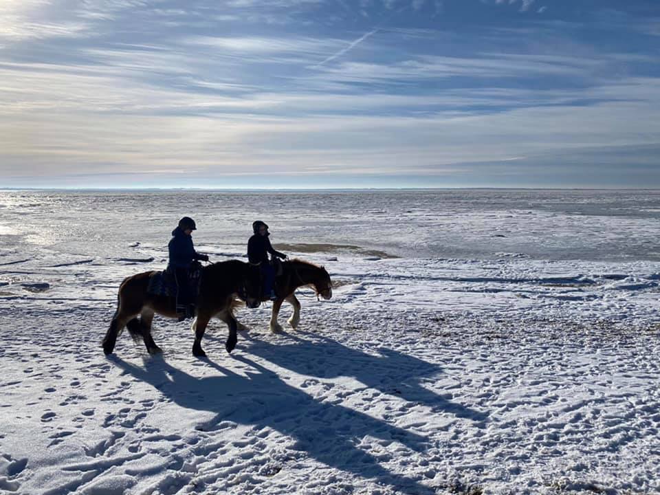 00 Elke Krebs 05 15 02 2021