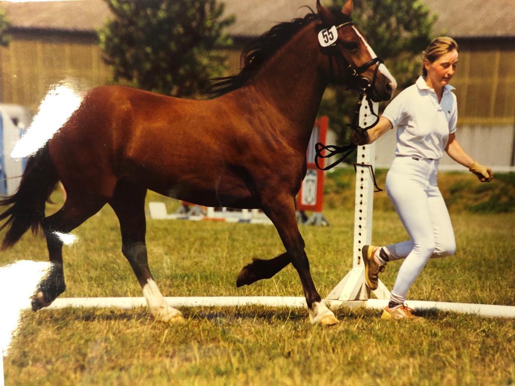 Santa Barbara als 2 jährige 07 06