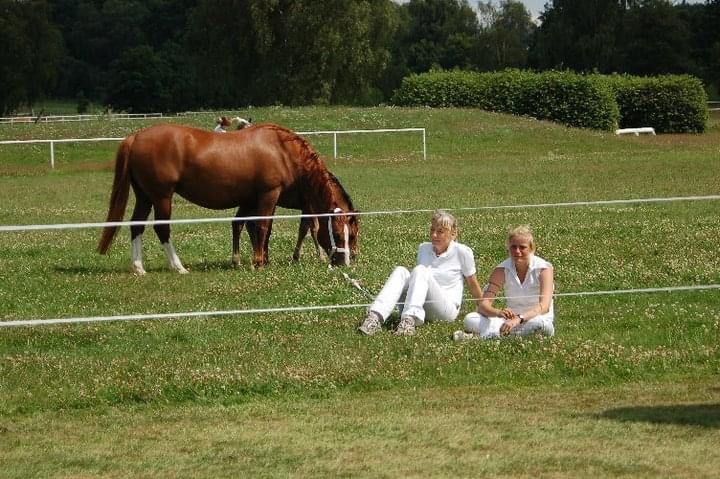 Seaside Sweet Lady 07 22 warten auf den Auftritt Seaside Sweet Lady von Palatinate Rodrigo aus der Santa Barbara
