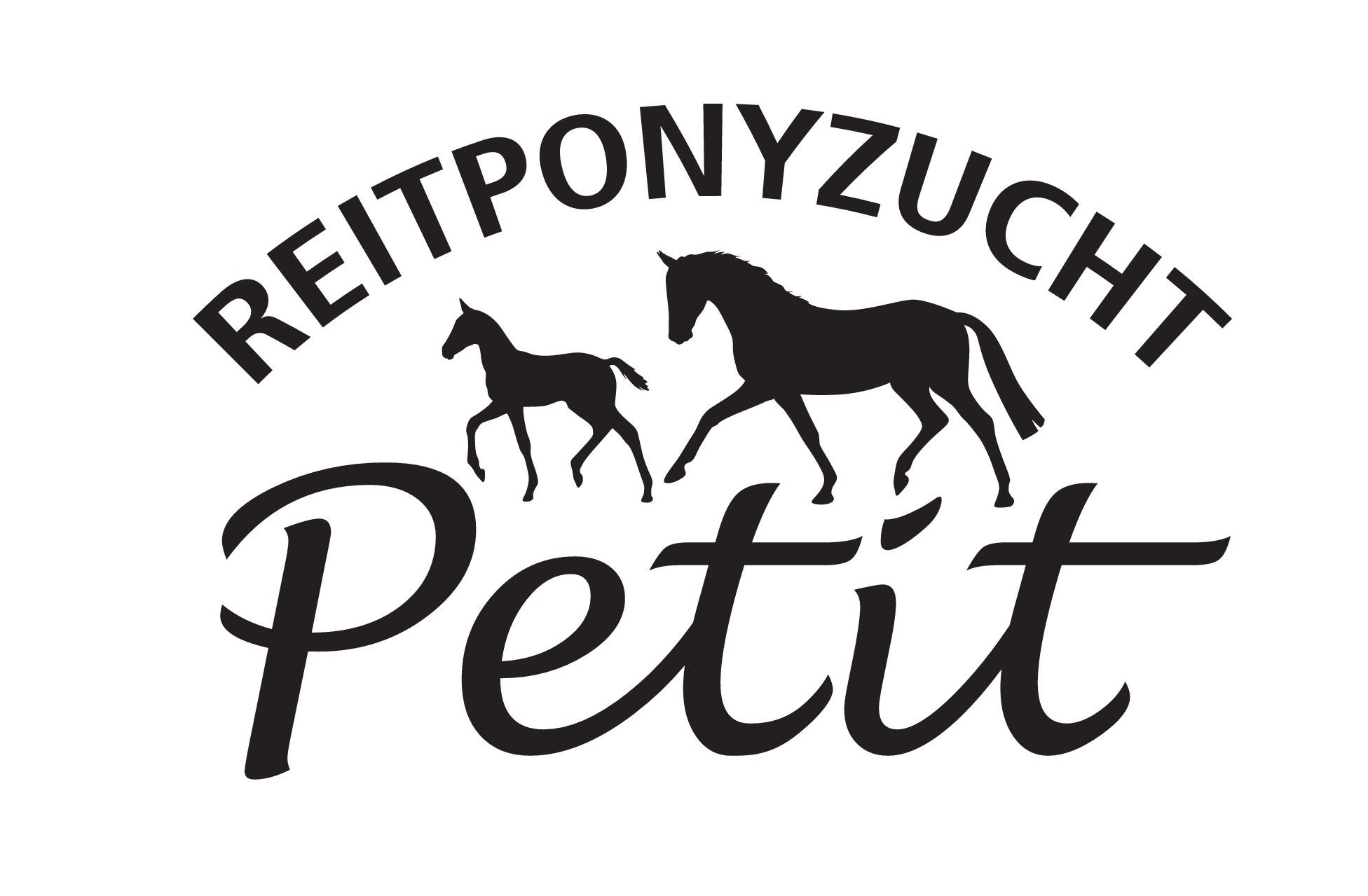 08 Logo RPZ Petit