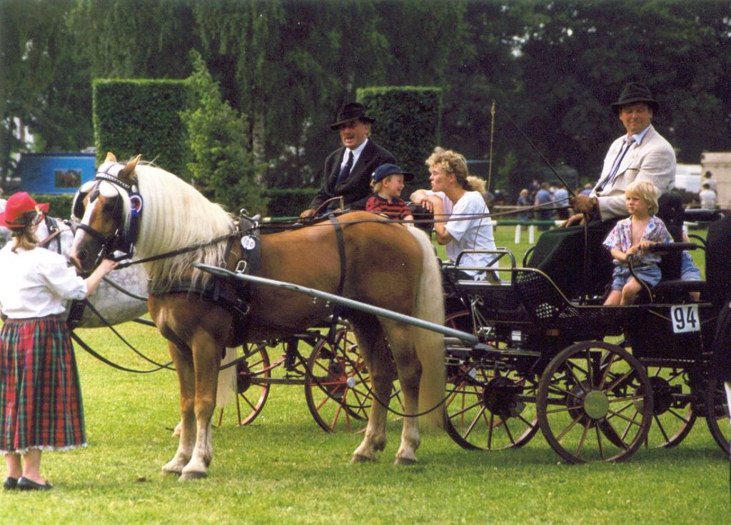20 04 1998 Unsere Züchter mit Familie beim Fahrfestival 1998 Familie Reiche und Familie Stoffers
