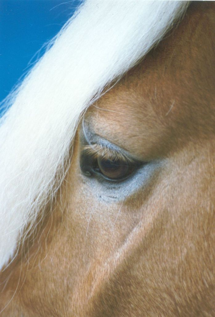 20 06 1997 Merlin W Reiche sjpg