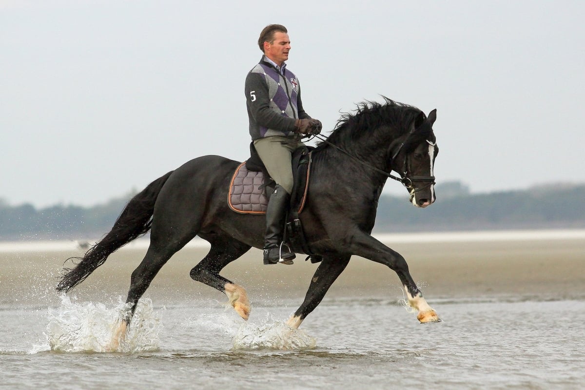 Cockmoor Brenin Ebrill 21 Cockmoor Brenin Ebrill 2015