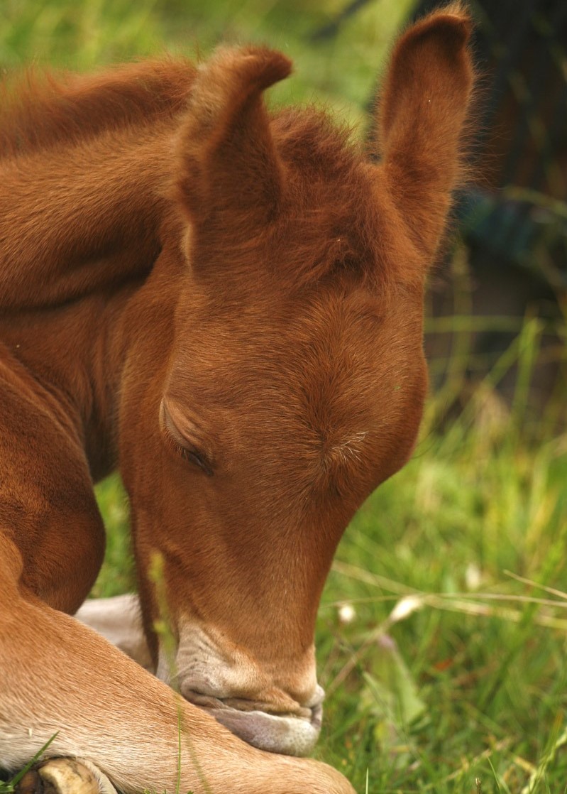 27 07 und das hier ist der kleine Welcome von Wellness aus der Felia