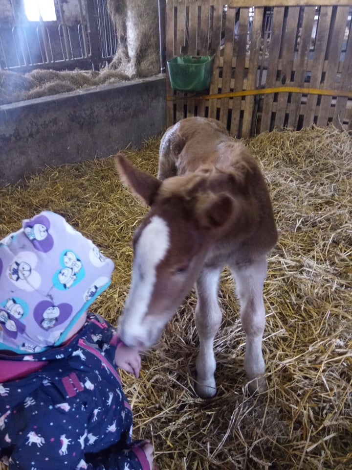 31 06 Anfreunden mit Madita