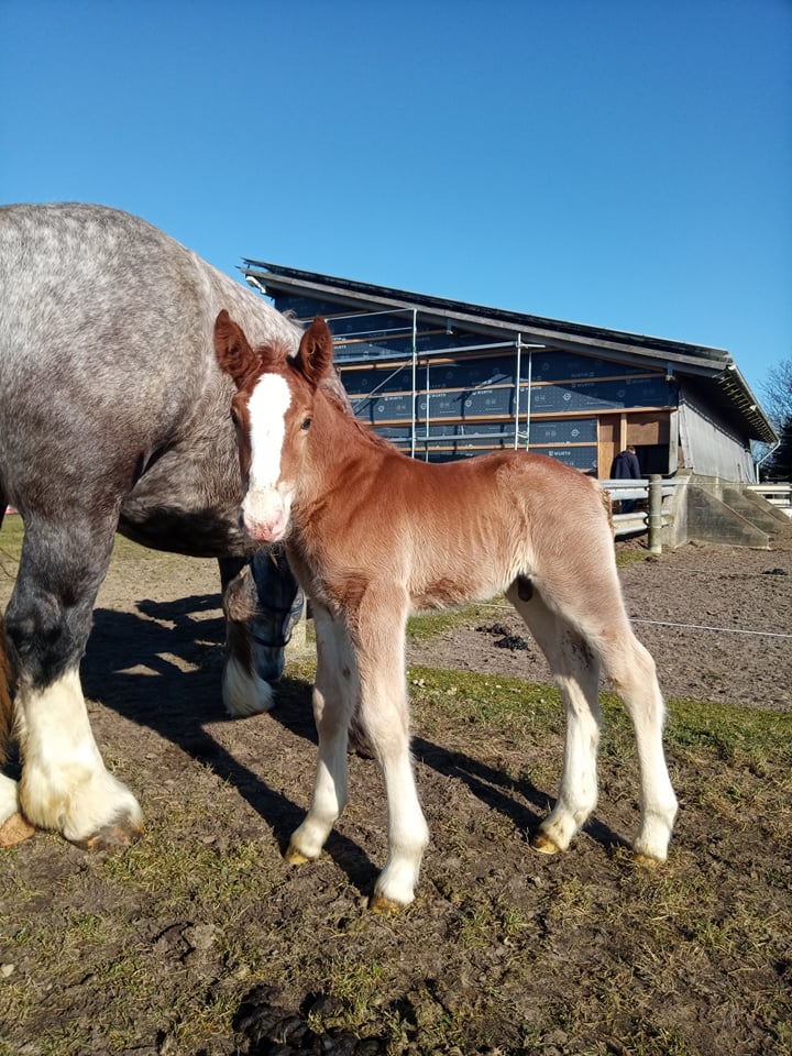 31 09 Das erste Mal draußen