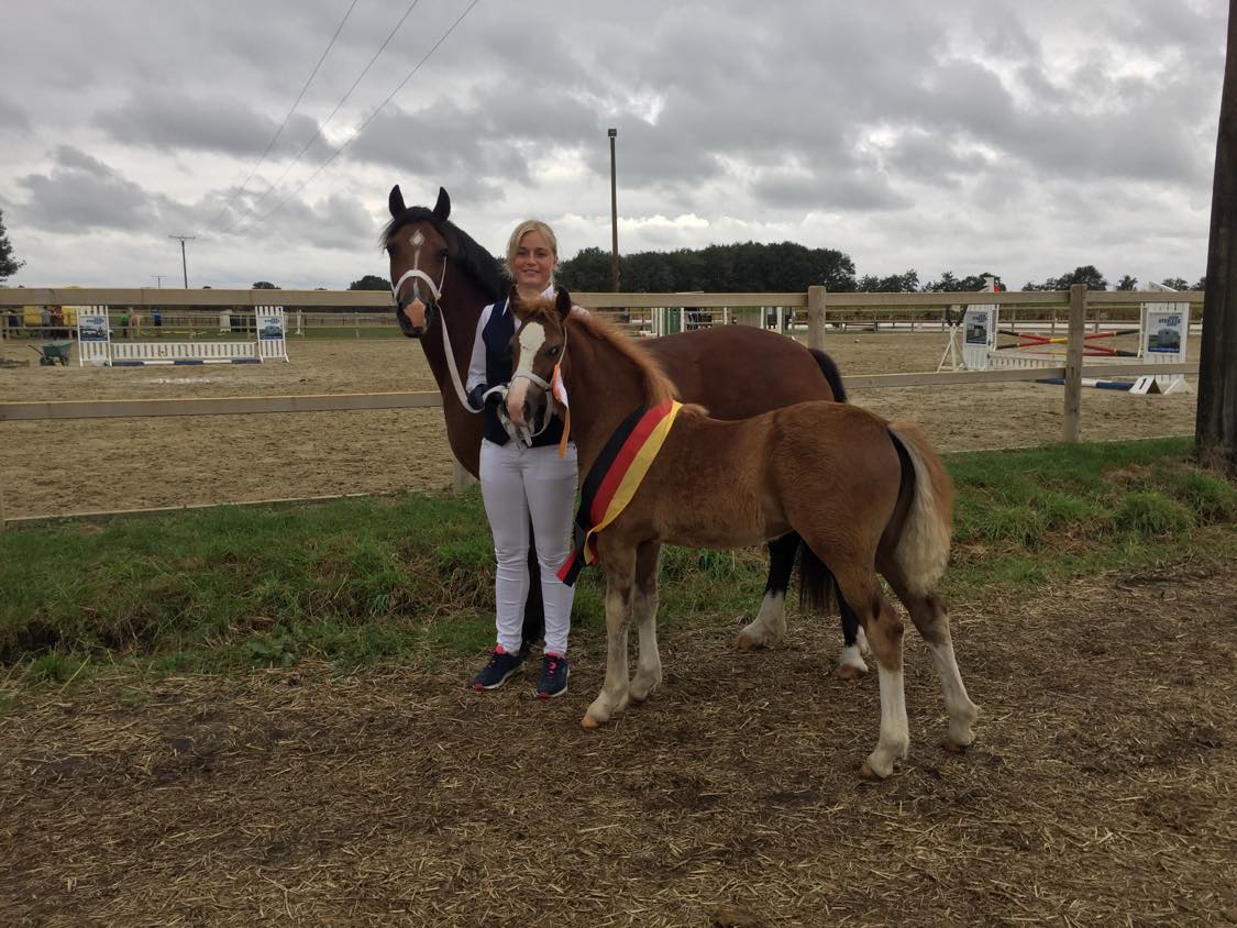 64 01 05 Ponyland Scarlad wird Bundes Reservesiegerfohlen