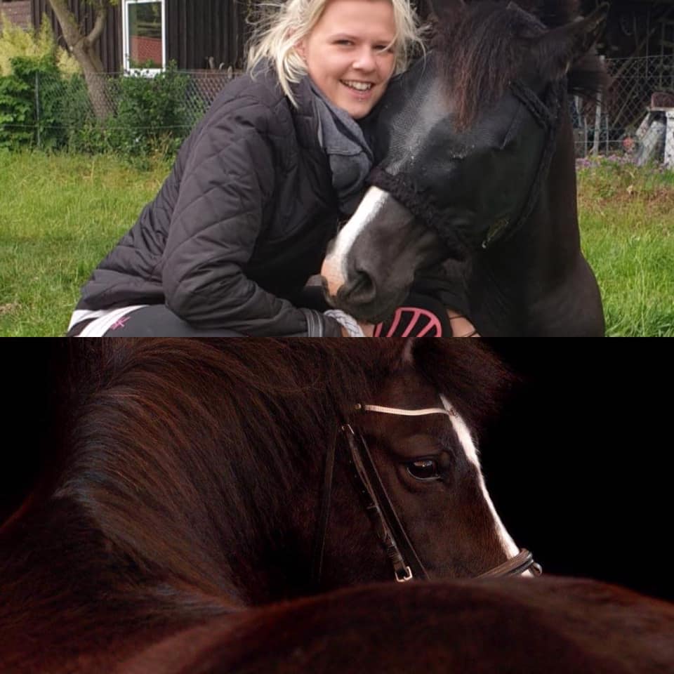 74 14 CTS Milo Meteor