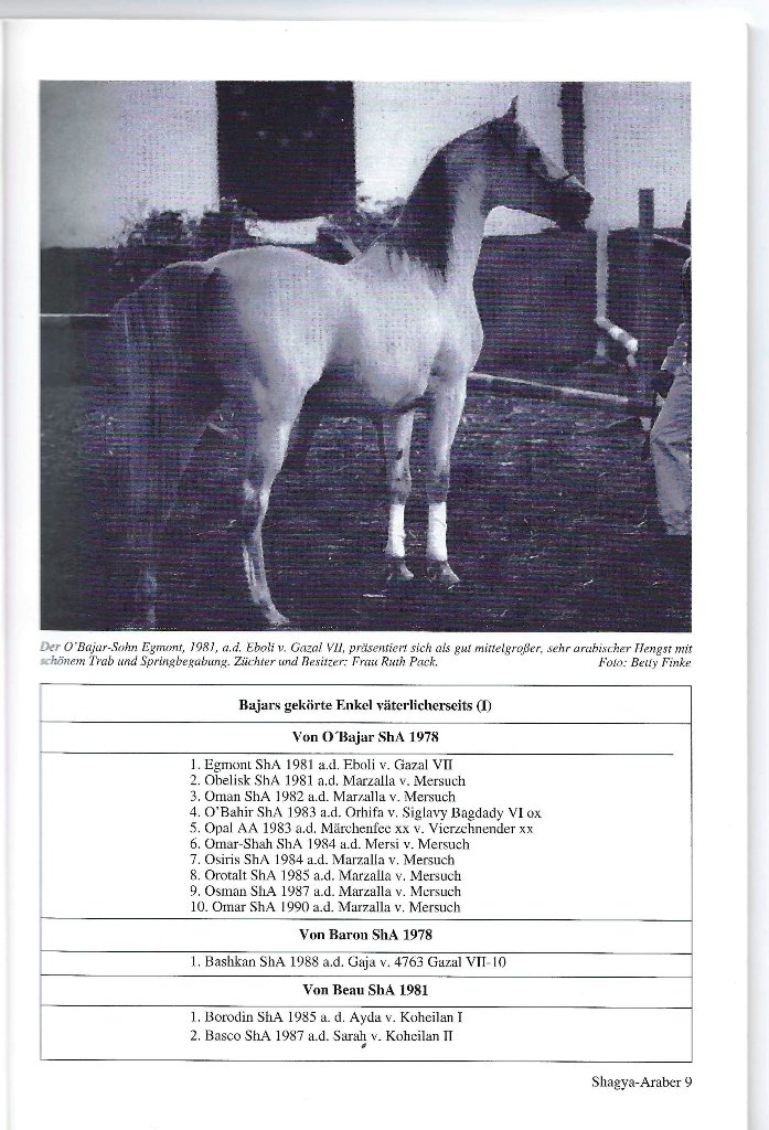 102 01 Egmont Hengst