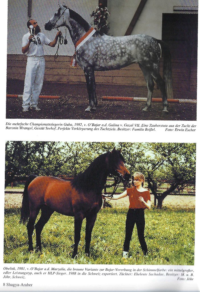 102 02 Guba und Obelisk