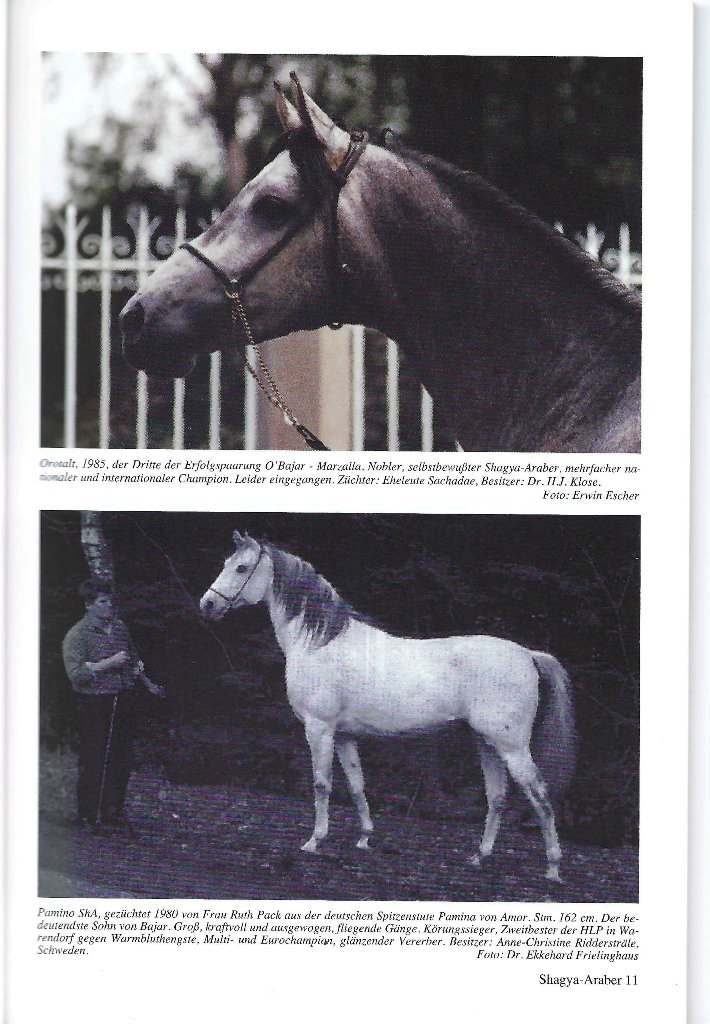 102 04 Orotald und Pamino