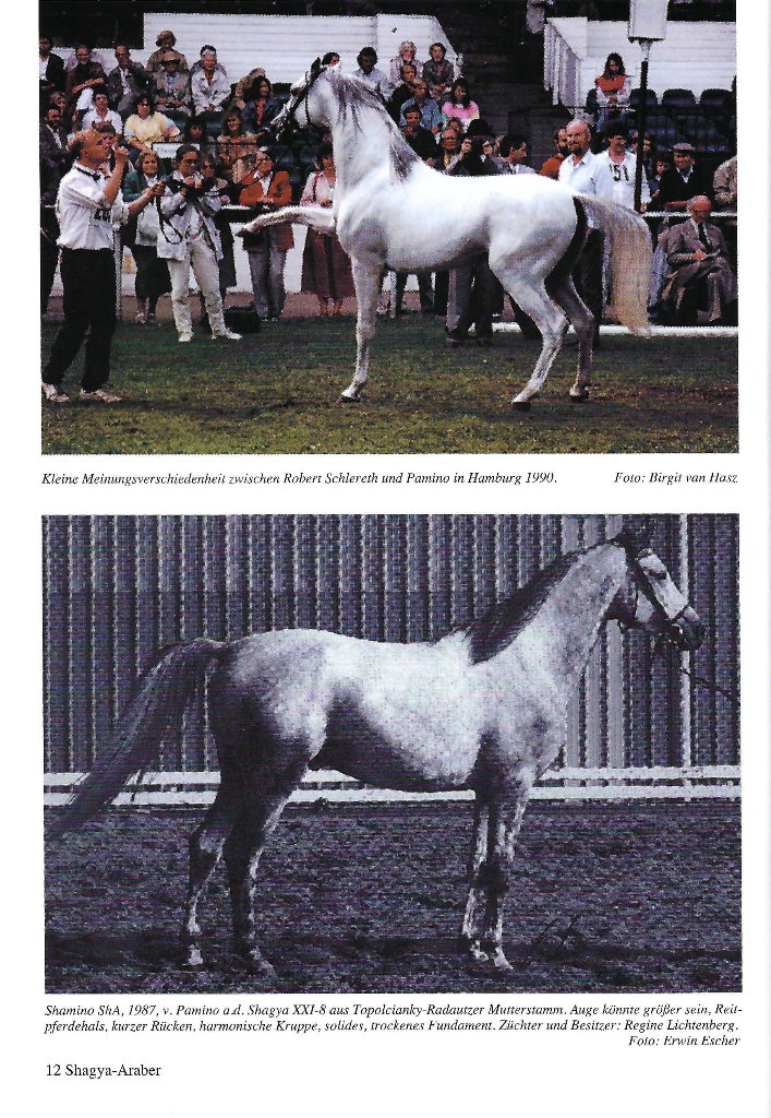 102 05 Pamino und Shamino