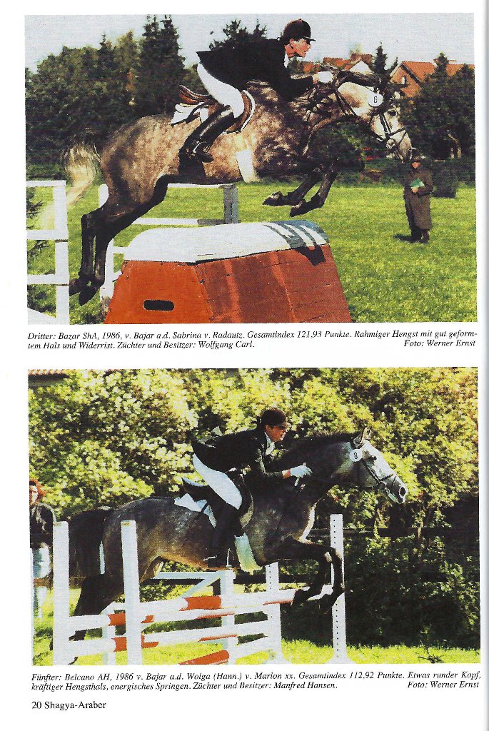 104 03 Dritter Bazar und Fünfter Belcano