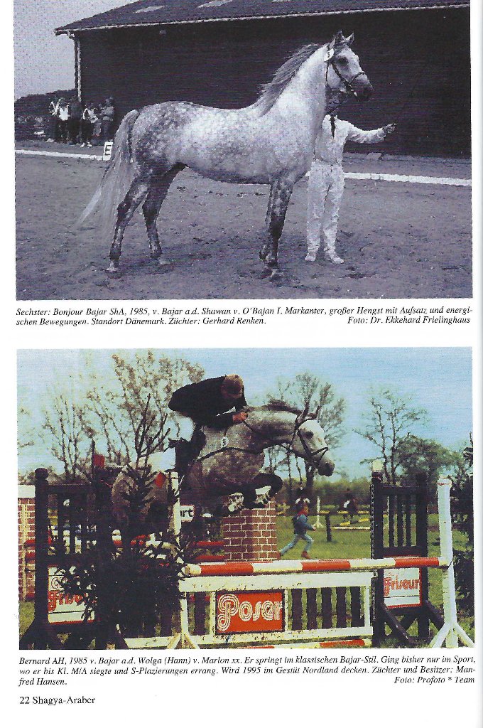 104 04 Sechster Bonjour und Bernard