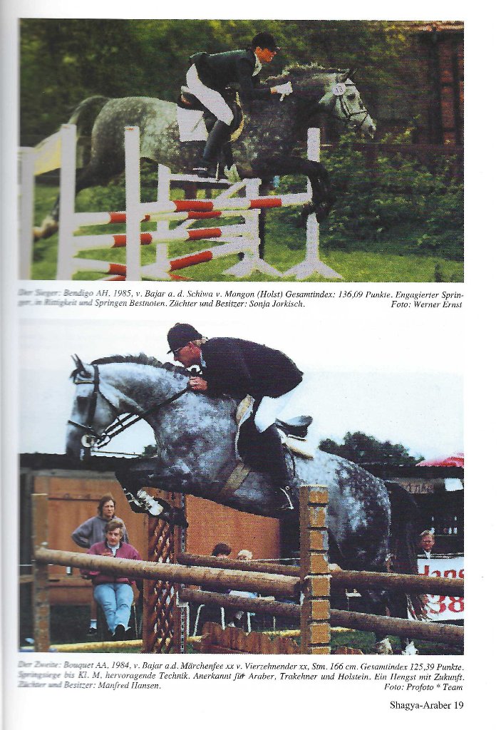 104 05 Sieger Bendigo und Zweiter Bouquet