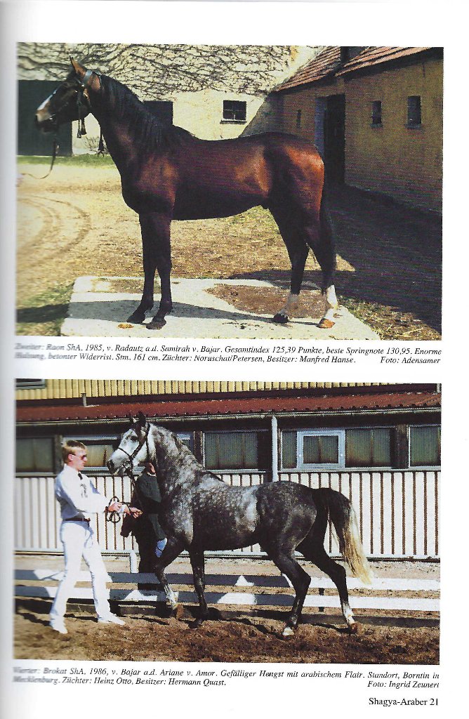 104 06 Zweiter Raon und Vierter Brokat