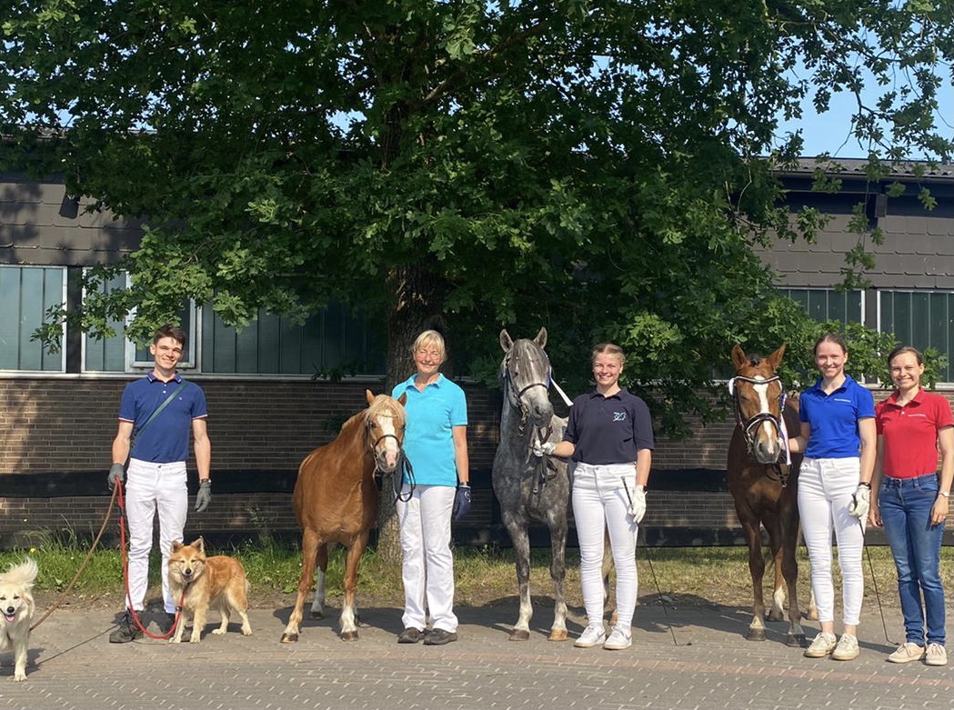105 08 17.Juni 2021. Welsh B Stute Dorina bekommt Bezirksprämie graue Stute in der Mitte