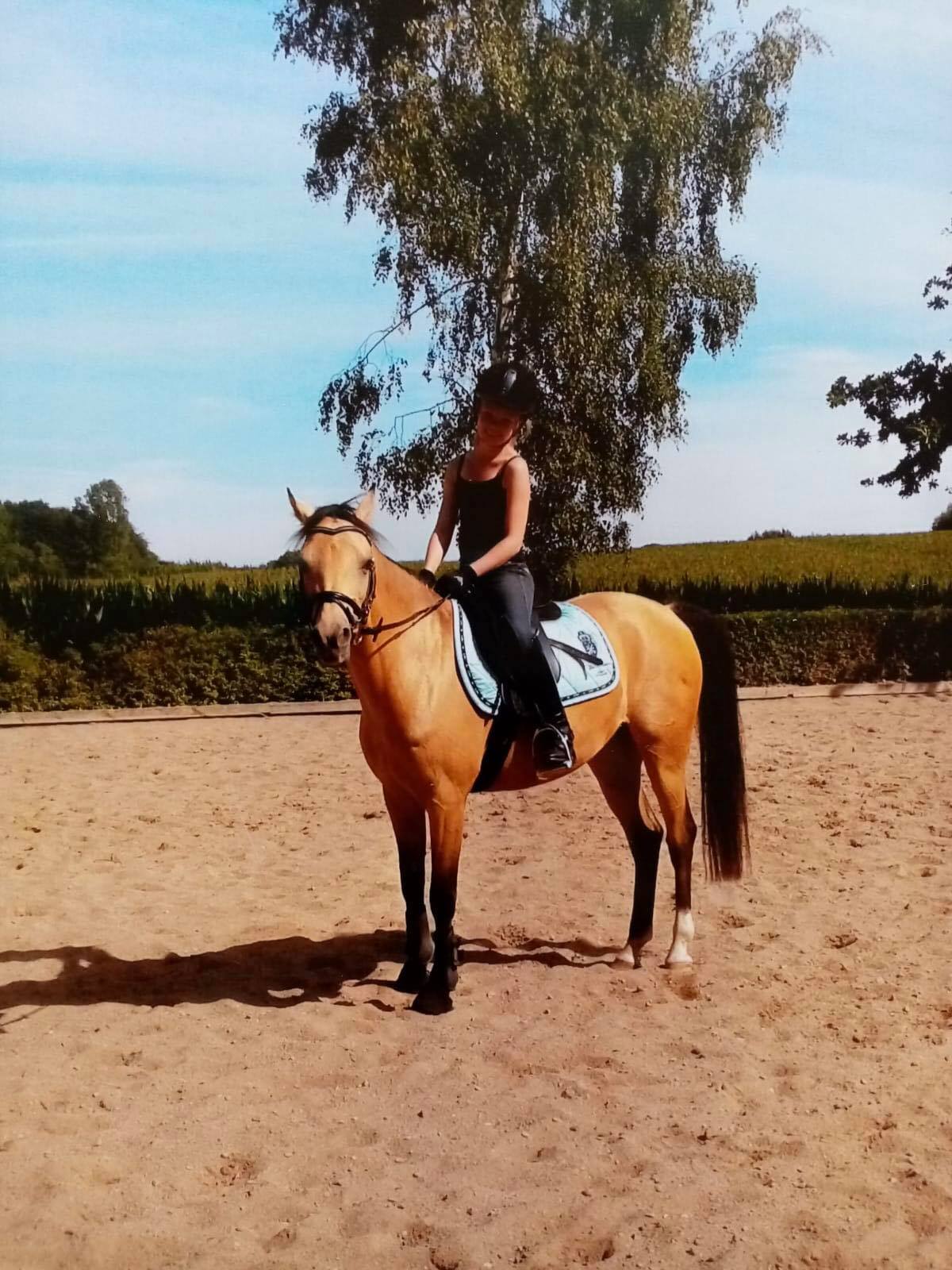 106 19 Das sind Fotos von Finoas Mama Fine. Er erzählte dass sein Enkel Noah die Stute getauft hat aus einer Kombination von Fine Noah Finoa️