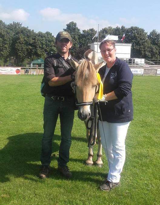 161-10-Norddeutsche Stutenschau 3