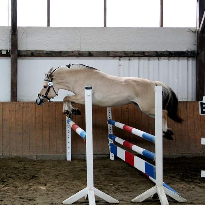 161-16-Leistungsprüfung 2