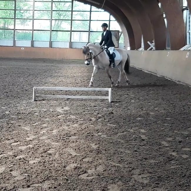 161-17-Leistungsprüfung mit Heinke Krawetzke 3