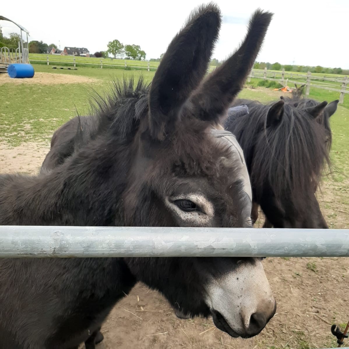 199-01-ELSA Durchblick Foto 2